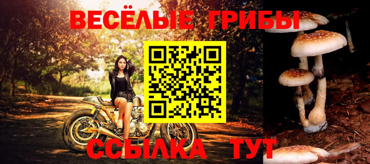 Галлюциногенные грибы MAGIC MUSHROOMS Йошкар-Ола