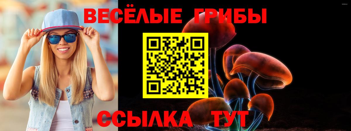 Псилоцибиновые грибы MAGIC MUSHROOMS  Псилоцибиновые грибы прущие грибы  Йошкар-Ола  Вход с VPN 